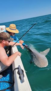 Fishing Guides in Boca Grande FL