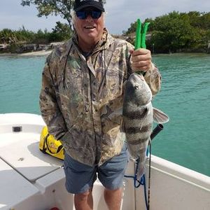 Goliath Grouper Fishing FL