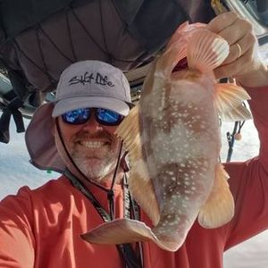 Boca Grande Fishing FL