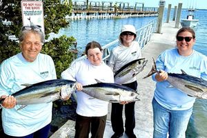 Blackfin Tuna Take Over the Reefs