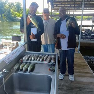 8 Flood Gates open again. 