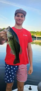 Bass and Trout again today. 