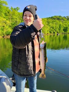 Back on Trout. 