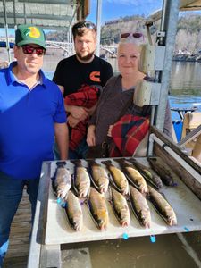 Record High Again Today.