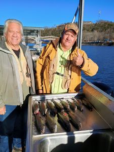 Another 60 degree day. 