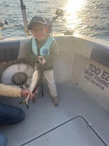 Calm weekend forecast for Lake Michigan fishing