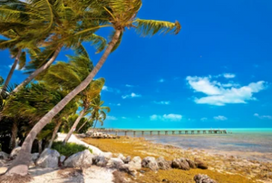 Things To Do In Islamorada 