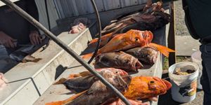 How To Get An Oregon Fishing License