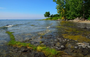 Get Your Valid Ohio Fishing License 