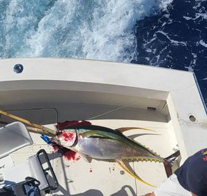 Late day catch makes Christmas come early