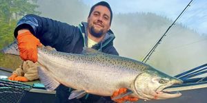 Winter Steelhead Trips Start January 15 – Book Your Stay at Steelblue Chameleon Lodge