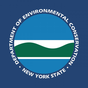 New York Fishing License