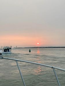 Lake Erie walleye fishing charter