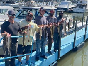 Late Season Lake Erie Walleye Action Booking 2026 Trips