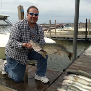 Lake Erie Beautiful Smallmouth Bass