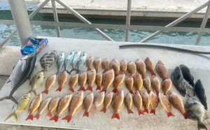 Grateful Day on the Water with Ted Mort