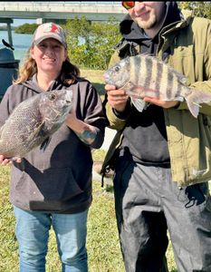 Cold Day, Solid Bites