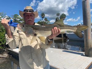 Sizzling Summer Action: Targeting Redfish and Speckled Trout Along the Mangrove Lines