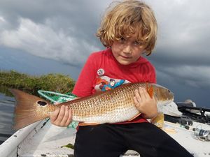 Fall Transition Starts: Snook and Redfish Move Into the Shallow Marsh Systems