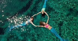 Unforgettable Family Adventures Across Hernando County