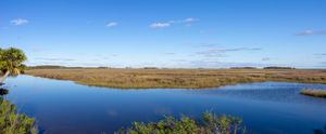 Natural History of Bayport and Hernando County's Gulf Coast