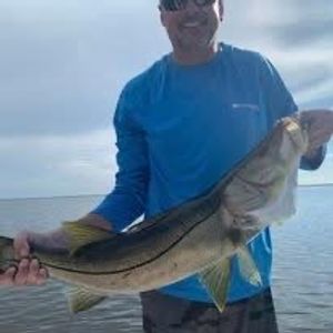 Hernando County Fishing Calendar: Seasonal Inshore Species Guide