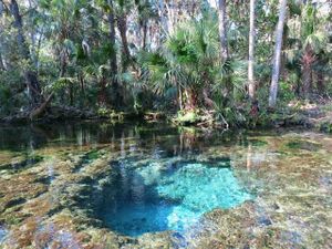 Native American and Seminole History of the Chassahowitzka and Nature Coast