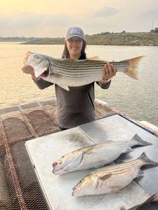 Guided Striped Bass Trips on Lake Buchanan