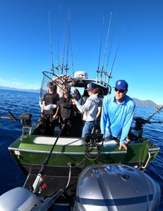 Catching Fish in the Net in Lake Tahoe