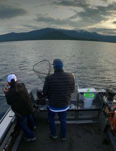 Mastering the Lake Fishing Game