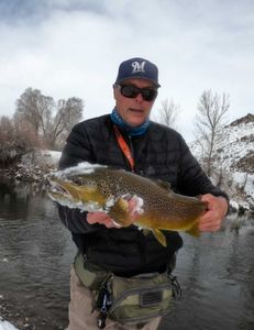 Ice Fishing Trip, Brown Trout