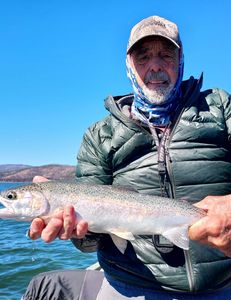 Steelhead Trout, Guided Pyramid Lake Fishing