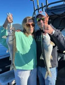 Lake tahoe fishing charters