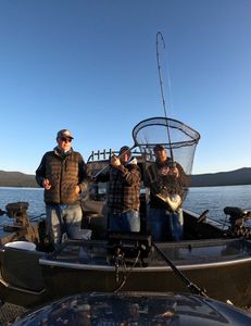 Lake tahoe fishing charters