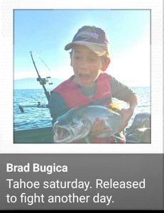 Lake tahoe fishing trips