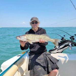 Lake Erie Fishing : Walleye Caught