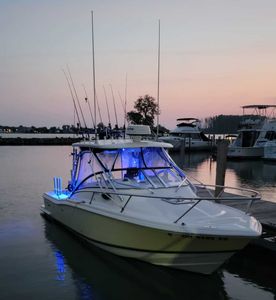 Cruising for Catches on Lake Erie Fish Charters