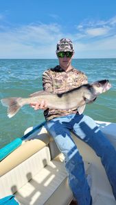 Lake Erie Large Fish Hooked