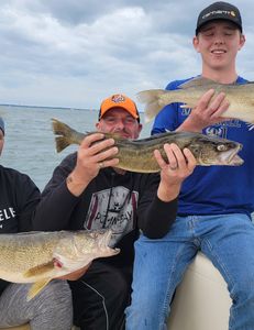 Walleye Caught by Anglers in Ohio