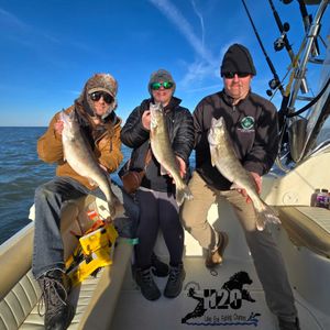 Afternoon Walleye Anyone?