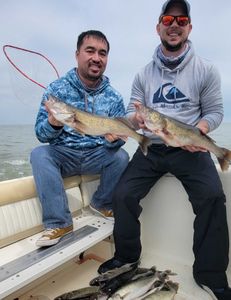 Team Minnesota  Day 2