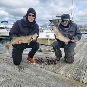 Walleye: Lake Erie Fishing!