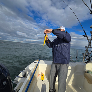 Lake Erie Fall Walleye Action with BlackH2oDog Charters
