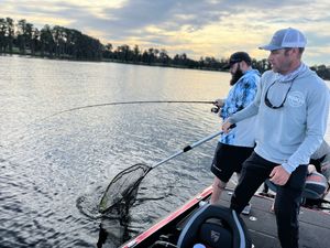 Bass Fishing with Shiners 