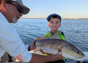 Summer Inshore Action in Saint Andrew Bay