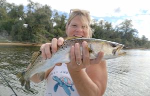 Things To Do In Panama City Florida Fishing Charters