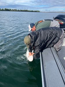 Fall King Season Is Here – Limited Spots Available!