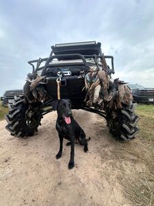 Last Chance Teal Hunt Sunday Opening Available