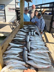 Sand Trout School, Nonstop Action