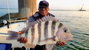 Atlantic City fishing charters bringing in Triggerfish, Sea Bass, Sheepshead, and Tog today!